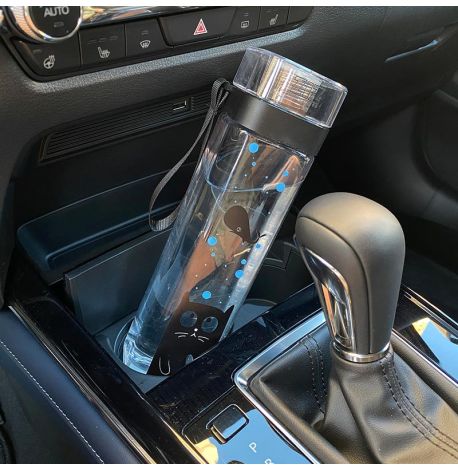 Бутылка для воды ZIZ «Кіт» (700 мл)