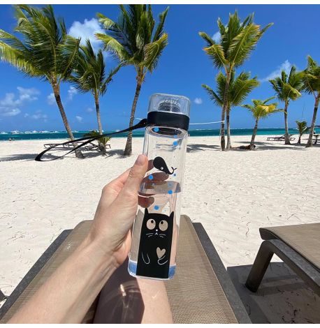 Бутылка для воды ZIZ «Кіт» (700 мл)
