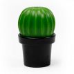 Млинок для перцю або солі Tasty Cactus Qualy (чорний-зелений)