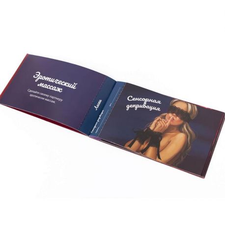 Чекова книжка пристрасних бажань (18+)