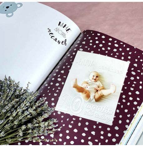 Первый альбом малыша Baby Book розовый (русский язык)