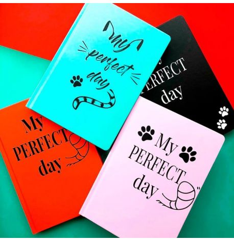 Ежедневник-планер Diary My perfect day недатированный (украинский язык) мятный 