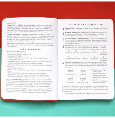 Ежедневник-планер Diary My perfect day недатированный (русский язык) красный