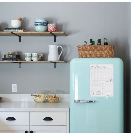 Магнитный планер с Гусем