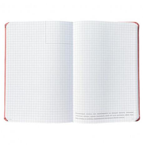 Планер-ежедневник LifeFLUX "Актив" пепельная роза (русский язык)