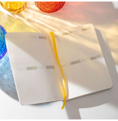 Планер «Птицы» (зеленый)