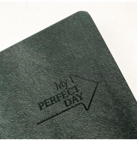 Планер "My perfect day" хвойний (російська мова)