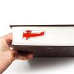 Закладка для книг «Біплан»