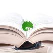 Закладка для книг «Хамелеон»