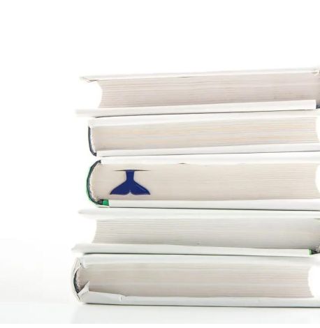 Закладка для книг «Хвіст Кіта»