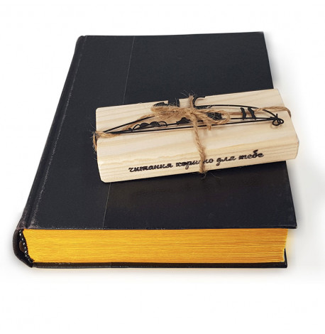 Закладка для книг «Кот на бельевой веревке»