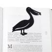 Закладка для книг «Пелікан»