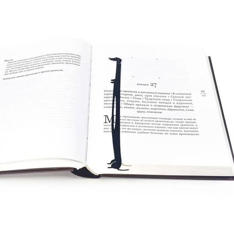 Закладка для книг «Такса–мой любимец»