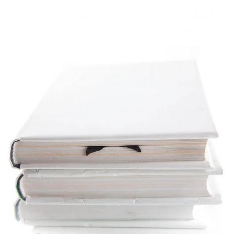 Закладка для книг «Мегалодон»