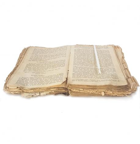 Закладка для книг Night craweler