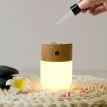Лампа-дифузор Gingko Smart Diffuser Lamp (ясен)