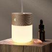 Лампа-дифузор Gingko Smart Diffuser Lamp (ясен)