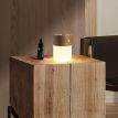 Лампа-дифузор Gingko Smart Diffuser Lamp (ясен)