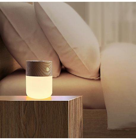 Лампа-дифузор Gingko Smart Diffuser Lamp (ясен)