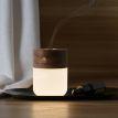 Лампа-диффузор Gingko Smart Diffuser Lamp (орех)