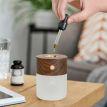 Лампа-диффузор Gingko Smart Diffuser Lamp (орех)