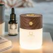 Лампа-диффузор Gingko Smart Diffuser Lamp (орех)