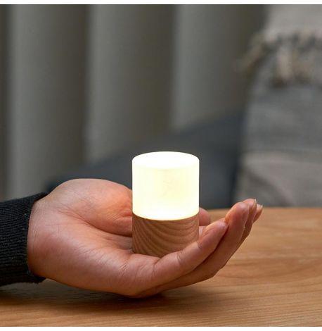 Портативный светильник Gingko Lemelia mini White Ash (ясень)