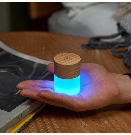 Портативный светильник Gingko Lemelia mini White Ash (ясень)