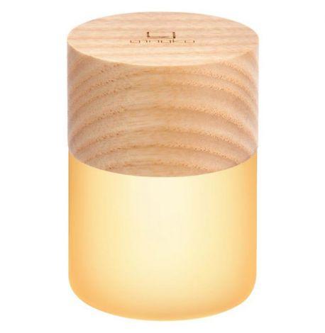 Портативный светильник Gingko Lemelia mini White Ash (ясень)