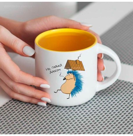 Кружка с ежиком «Не падай дахом» (350 мл) 
