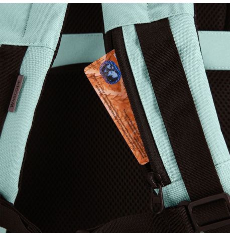 Рюкзак для ручної поклажі Wascobags Leon Mint (40x30x20) - WizzAir / Ryanair